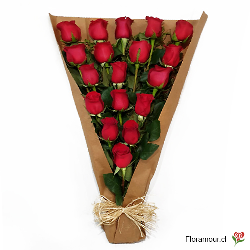 Ramo de 18 rosas ordenadas envueltas en papel ecológico rústico con moño de rafia natural. Sólo Santiago. Seleccione color de rosas